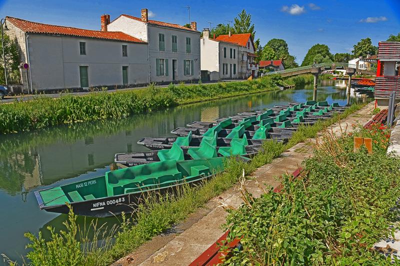min 2025 06 08 Marais Poitevin 175